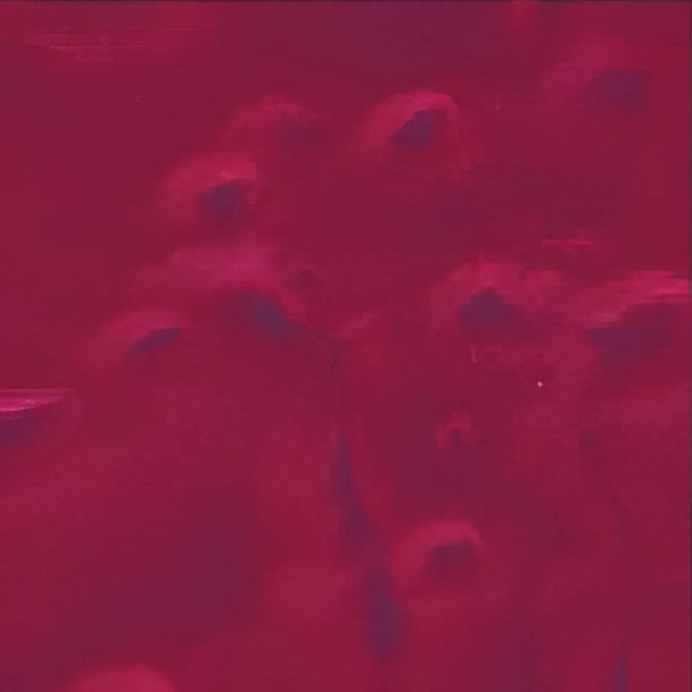 merlot - custom color epoxy flooring Call Az Garage Flooring for pricing 602-254-3363